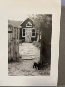 One of the many cats of Bloodroot standing at the entrance to the restaurant. Photo by Noel Furie. Accessed through the Yale Special Archives Bloodroot Collective records. Used through Public Domain.