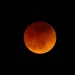 Blood moon: Total lunar eclipse will be seen across several continents Tuesday