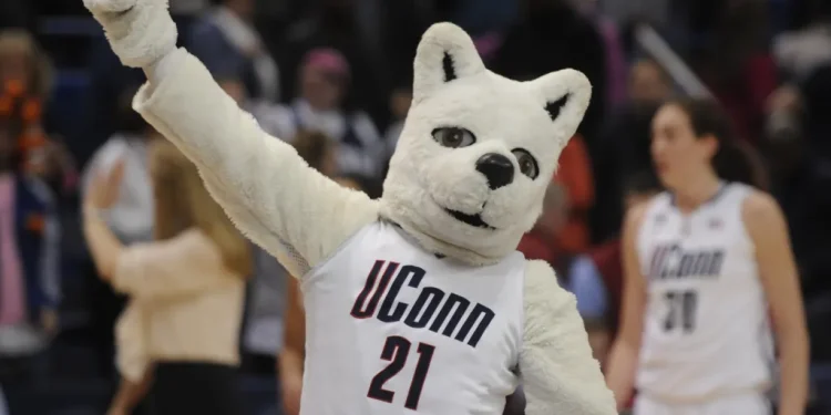 March Madness coming and UConn basketball fans will need to pay up to watch some Big East games