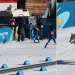 Dog crashes Olympic cross-country qualifier, earns biggest cheers of the day