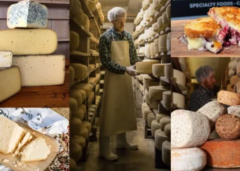 Guide To The Best Cheesemongers in Connecticut