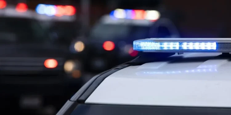 Hamden woman accused of animal cruelty after multiple pets died, suffered injuries