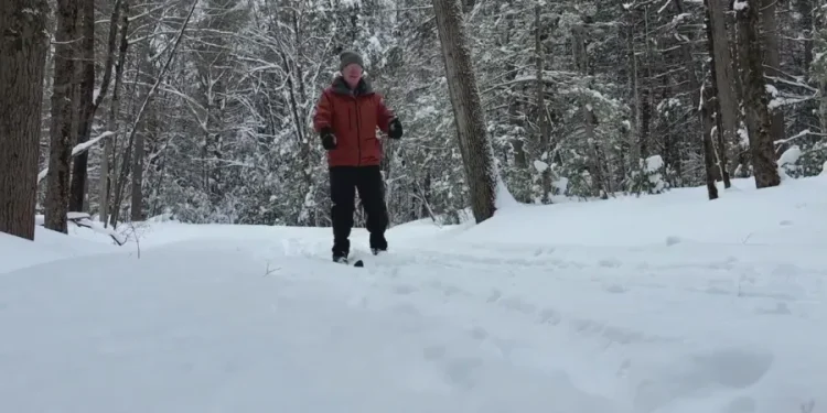 Make the most of nature this winter at Great Mountain Forest in Norfolk