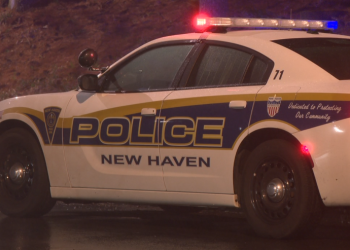 Person shot in area of Grand Avenue, Blatchley Avenue in New Haven
