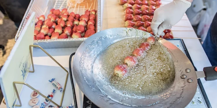 Places To Celebrate Lunar New Year 2026 in Connecticut