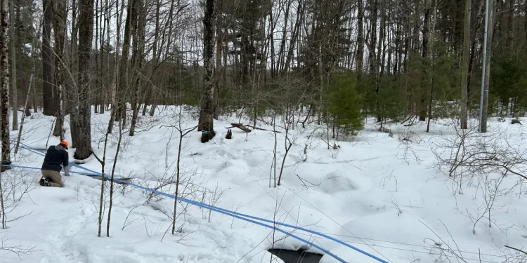 Yale program educates about New England tradition with modern environmental practice