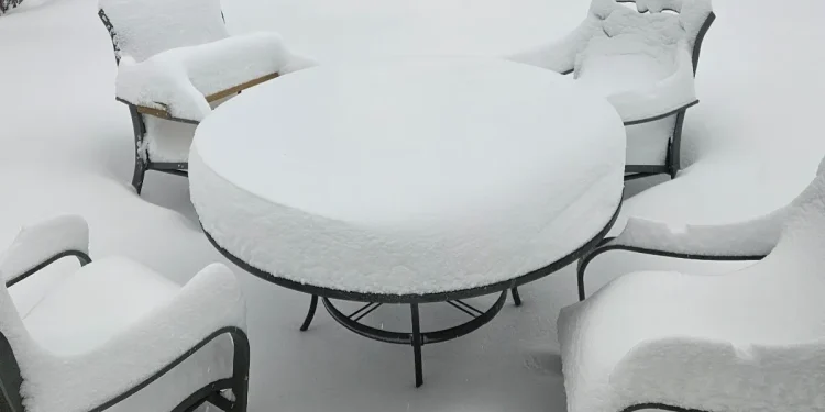 Town-by-town snow totals after Blizzard of 2026