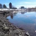 Fishing advisory in effect after West Haven oil spill