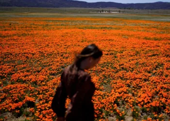 Welcome to allergy season. Here's how to protect yourself