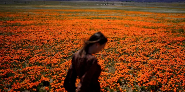 Welcome to allergy season. Here's how to protect yourself