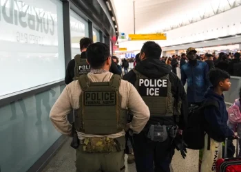 ICE officers aren't trained in airport security. Can they help ease long lines?