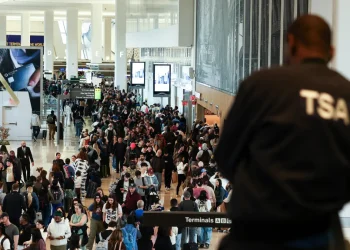 TSA boss warns of airport closures as Homeland Security funding fight drags on