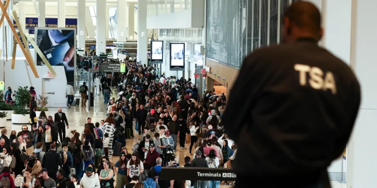 TSA boss warns of airport closures as Homeland Security funding fight drags on