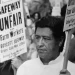Cesar Chavez is accused of sexually abusing girls and women in explosive new allegations