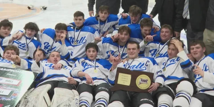 Hall High School wins Division III boys hockey state championship with OT goal