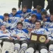 Hall High School wins Division III boys hockey state championship with OT goal