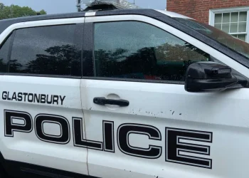 Virginia man charged after viral video shows dog abuse in Glastonbury home