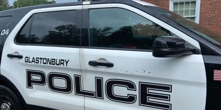 Virginia man charged after viral video shows dog abuse in Glastonbury home