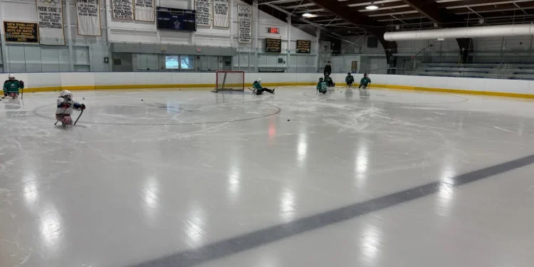 Connecticut's only Sled Hockey team has sights on league title