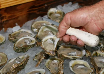 Imposter charity scam targets Norwalk Oyster Festival vendors