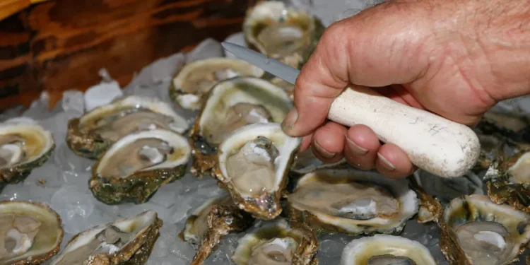 Imposter charity scam targets Norwalk Oyster Festival vendors