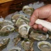 Imposter charity scam targets Norwalk Oyster Festival vendors