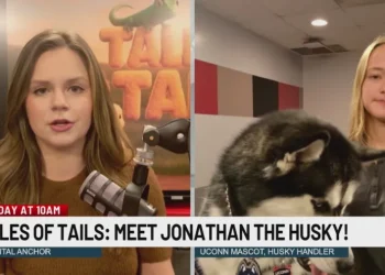Jonathan the UConn Husky to be featured on WTNH's original show Tales of Tails
