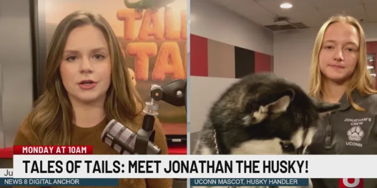 Jonathan the UConn Husky to be featured on WTNH's original show Tales of Tails