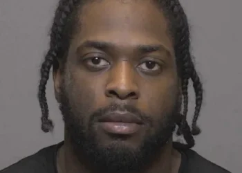 New Haven man faces gun, drug charges