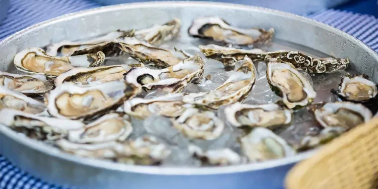 Scammer is trying to defraud Norwalk Oyster Festival vendors, Better Business Bureau says