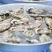 Scammer is trying to defraud Norwalk Oyster Festival vendors, Better Business Bureau says