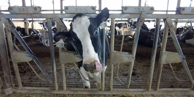 Connecticut farmers describe challenges of farming in 2026