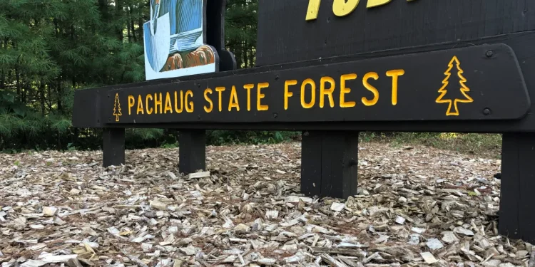 Multiple state parks across Connecticut to undergo controlled burns this spring