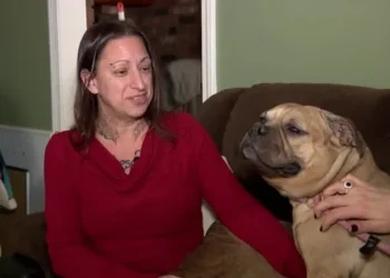 Westbrook woman dedicates second chance at life to rescuing dogs