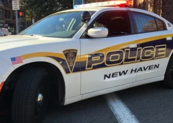 New Haven man arrested and accused of animal cruelty resulting in death