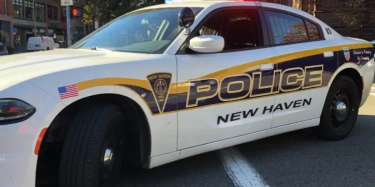 New Haven man arrested and accused of animal cruelty resulting in death