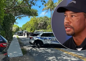 Tiger Woods released on bail hours after arrest at crash scene on suspicion of DUI