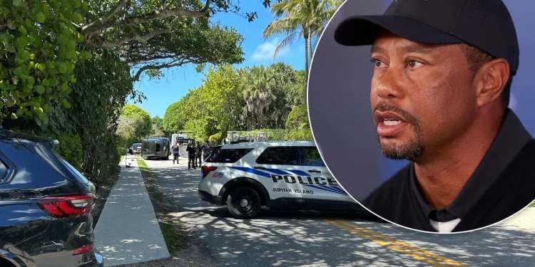 Tiger Woods released on bail hours after arrest at crash scene on suspicion of DUI