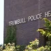 Man dies after tree-cutting accident in Trumbull