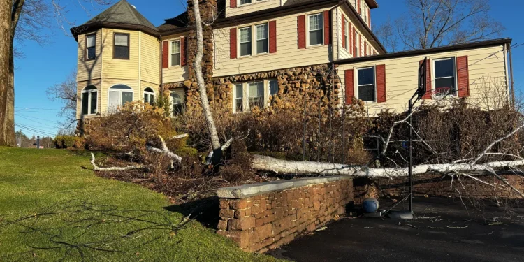 Overnight winds cause 1000s of power outages and many road closures during morning commute