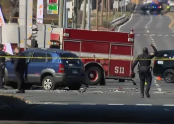 1 dead, 7 injured after multi-vehicle crash in Windsor