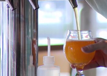 National Beer Day sparks debate over local brewery struggles 