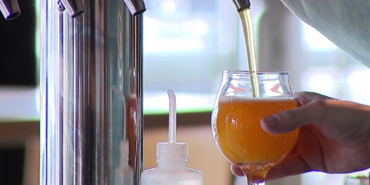 National Beer Day sparks debate over local brewery struggles 