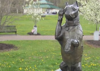 Connecticut State Museum honors first working dog in the U.S. Army