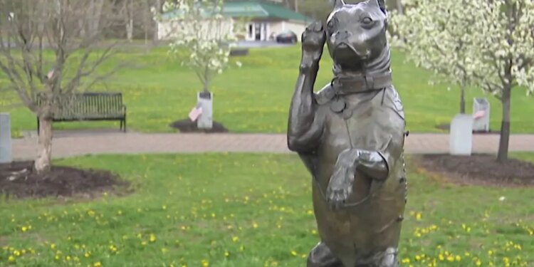 Connecticut State Museum honors first working dog in the U.S. Army
