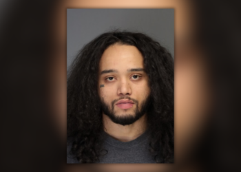 Bridgeport man hides in woods before domestic violence arrest: PD