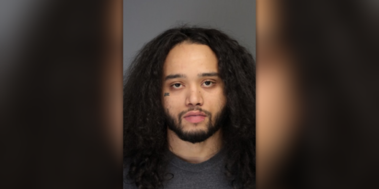 Bridgeport man hides in woods before domestic violence arrest: PD