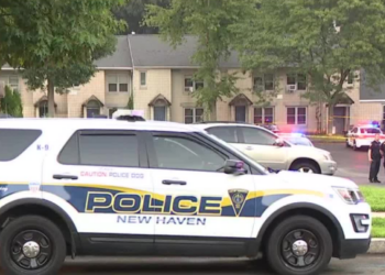 Cyclist seriously injured in New Haven crash