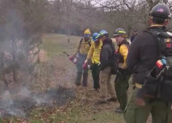 Dry conditions in Connecticut increase risk of forest fires