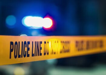 Homicide under investigation in Stratford